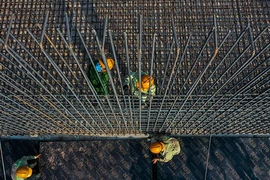 Việt Nam lần đầu vào nhóm nền kinh tế có chỉ số tự do trung bình