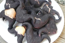 Nguy kịch sau khi uống rượu ngâm củ ấu tàu 