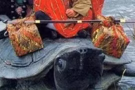 Thần thú duy nhất trong Tây Du Ký là 'bản real' ngoài đời