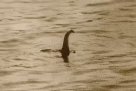 Quái vật hồ Loch Ness bất ngờ tái xuất... giới khoa học được phen chao đảo? 