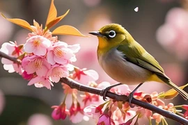 Tháng Âm lịch tốt lành, ai sinh vào thời điểm này cực may mắn
