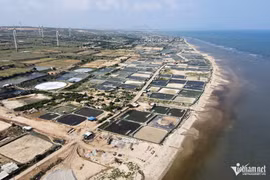 Người dân vùng điện hạt nhân Ninh Thuận sẽ được nhận cơ chế đặc biệt