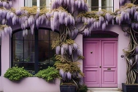 4 cây trấn nhà, giữ trạch, tuổi thọ trăm năm