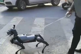 Thượng Hải “gây sốt” với clip 12 giây, tưởng chừng ở thế giới khác 