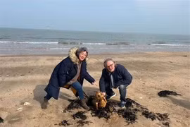 "Sinh vật ngoài hành tinh" bất ngờ lộ diện, chuyên gia nhức đầu giải mã 