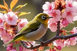 Ai sinh ngày Âm lịch này sớm muộn cũng vượt qua nghịch cảnh