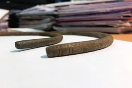 Sửa ống nước, người nông dân sướng run đụng trúng “báu vật” Trời ban 