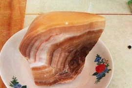 Nhặt viên đá lạ, tưởng miếng thịt lợn ai ngờ là "báu vật" tiền tỷ 