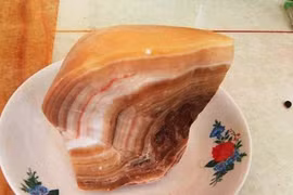 Nhặt viên đá lạ, tưởng miếng thịt lợn ai ngờ là "báu vật" tiền tỷ 