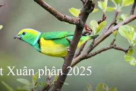 Tiết Xuân phân 2025: Nên làm gì để cầu tài, cầu phúc