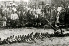 4 bí ẩn khó giải nhất tại Trung Quốc, chuyên gia nhũn não