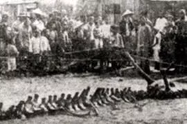 4 bí ẩn khó giải nhất tại Trung Quốc, chuyên gia nhũn não