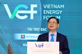TSKH Phan Xuân Dũng: Phát triển năng lượng xanh cần sự tham gia của đội ngũ trí thức 