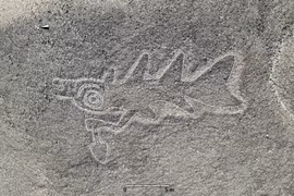 Dùng AI, chuyên gia vỡ òa phá giải hình vẽ Nazca ngàn năm bí ẩn 