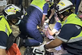 Quái thú náu trong vườn, bất ngờ chồm lên siết cổ người và cái kết...