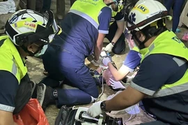 Quái thú náu trong vườn, bất ngờ chồm lên siết cổ người và cái kết...