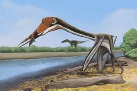 Phát hiện “rồng địa ngục” chưa từng biết đến, chuyên gia giải mã sao? 