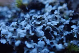 Lộ diện “ứng viên” sáng giá cho sự sống ngoài Trái Đất