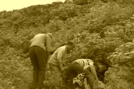 Đi săn cáo, lão nông vô tình đụng trúng “kho báu” tiền tỷ