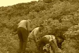 Đi săn cáo, lão nông vô tình đụng trúng “kho báu” tiền tỷ