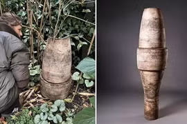 Đấu giá chậu hoa vỡ trong vườn, đại gia hét con số không tưởng 