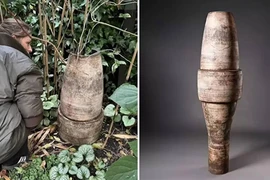 Đấu giá chậu hoa vỡ trong vườn, đại gia hét con số không tưởng 