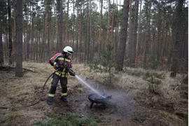 Lá chắn AI trên không phát hiện sớm cháy rừng, công nghệ đỉnh sao? 