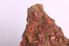 “Đổi đời” trong chớp mắt vì đụng trúng đá lạ khi đi dạo biển