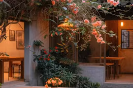 Cổ nhân dạy, cây to trong sân, nhà không nghèo cũng khó