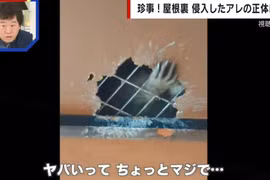 Điếng người khi thấy “bàn tay tái mét” thò ra từ trần nhà