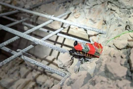 Gián robot cứu hộ động đất Myanmar đang "hot rần rần" có gì đặc biệt? 