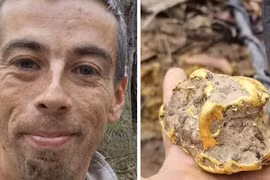 Đào gốc cây mục thấy kho báu, người đàn ông đổi đời trong chớp mắt 