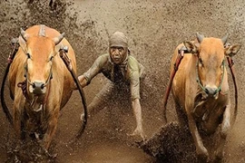 Những lễ tạ ơn độc đáo nhất thế giới