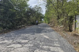 Khánh Hòa: 'Cặp' nhà thầu từng là đối thủ, vừa trúng gói thầu hơn 9 tỷ đồng