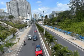 Du khách nô nức với nắng Xuân về trên phố biển Nha Trang 