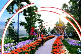 Đồng Nai: Gói trang trí cụm hoa xuân công viên Nguyễn Văn Trị về tay ai?