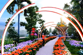 Đồng Nai: Gói trang trí cụm hoa xuân công viên Nguyễn Văn Trị về tay ai?