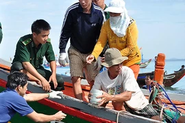 Tiết lộ thú vị về “nghĩa địa tàu cổ”