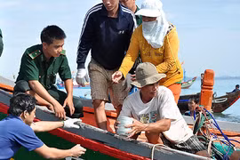 Tiết lộ thú vị về “nghĩa địa tàu cổ”