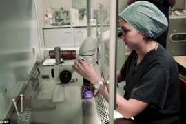 Thụ tinh ống nghiệm hiệu quả siêu rẻ: 4 triệu đồng/ca