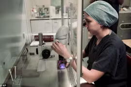 Thụ tinh ống nghiệm hiệu quả siêu rẻ: 4 triệu đồng/ca