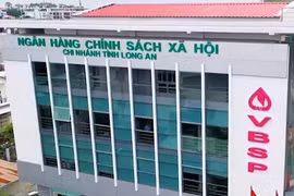 Long An: Lâm Phát ICPD và Ngô Gia Thịnh "ngược dòng" thắng gói thầu gần 8 tỷ