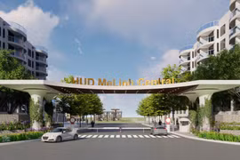 Năng lực nhà thầu thi công thiết bị lô cây xanh CX06 của HUD