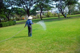 Gói thầu chăm sóc mảng xanh ở Nhà Bè, TPHCM hơn 9 tỷ về tay ai?