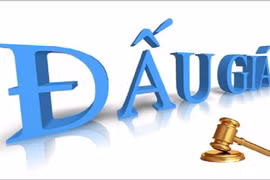 Cục quản lý thị trường TP HCM thông báo đấu giá tài sản