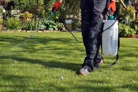 Chỉ 1 nhà thầu tham dự gói thầu 11,7 tỷ chăm sóc cây xanh ở Trà Vinh 