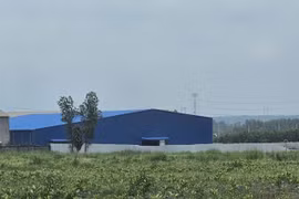 Đồng Nai: Ngang nhiên xây dựng nhà xưởng trên đất lúa