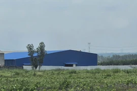 Đồng Nai: Ngang nhiên xây dựng nhà xưởng trên đất lúa