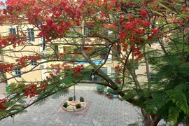 TP HCM: Gói thầu xây dựng Trường THCS Tân Phú Trung 2 về tay ai?