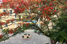 TP HCM: Gói thầu xây dựng Trường THCS Tân Phú Trung 2 về tay ai?